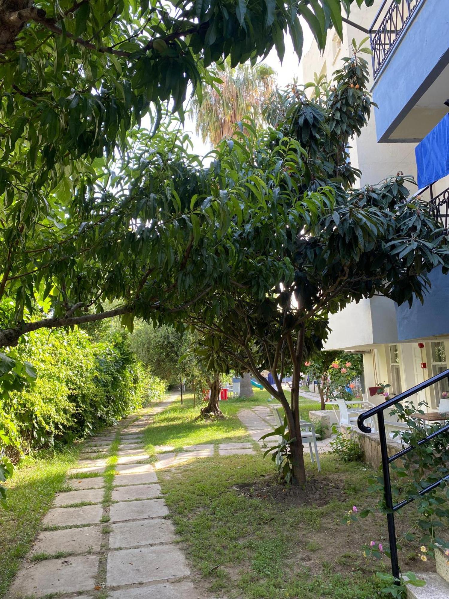Linda Apart Hotel 锡德 外观 照片